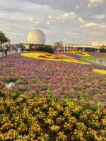 Photo_27EPCOT FLower and Garden Festival 2022