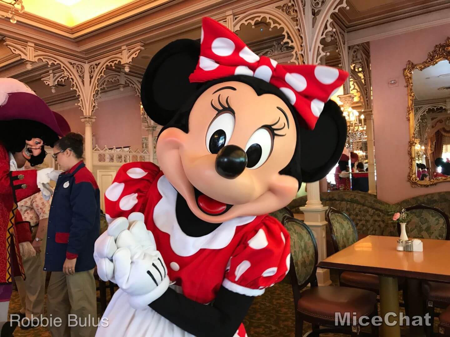 5 Disneyland Tips, New Advice: Top 5 Disneyland Tips for Visiting in 2022