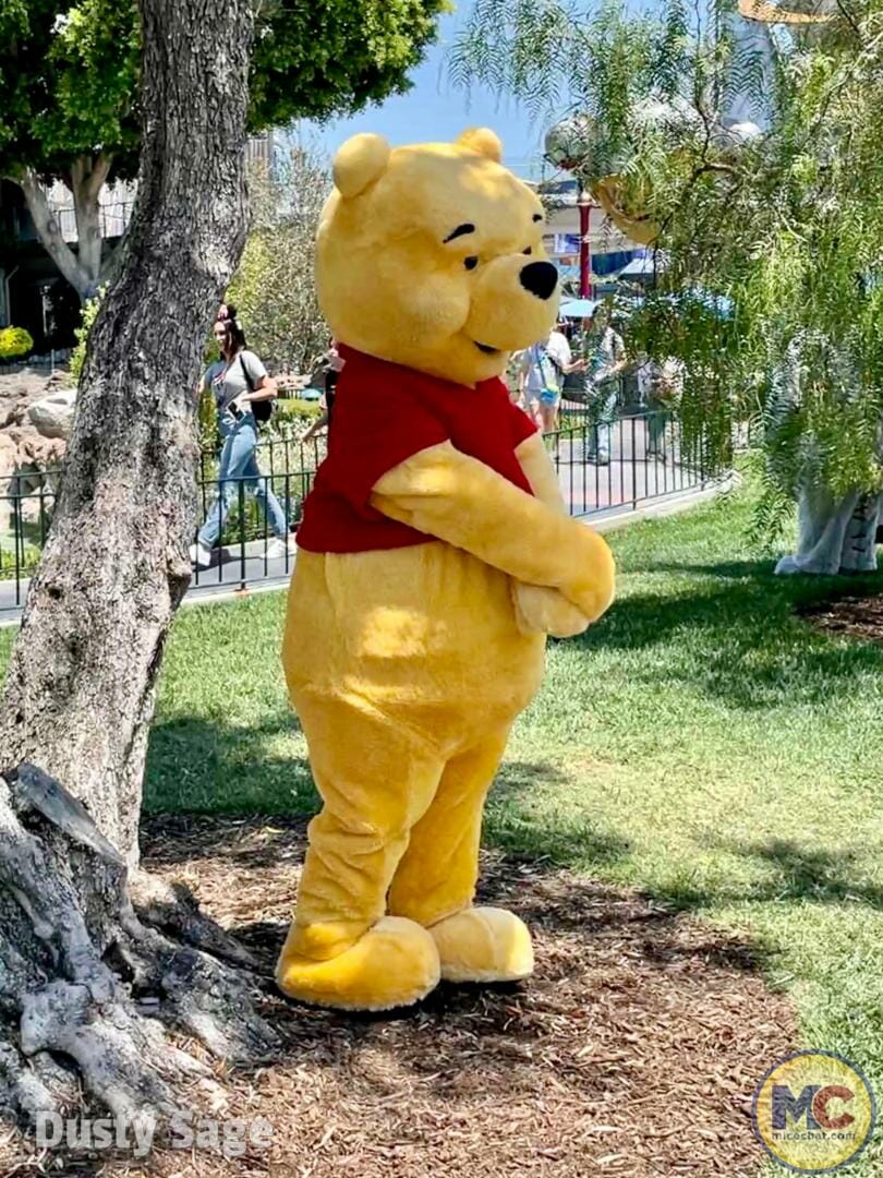 character meet greets return, Character Hugs Return to the Disney Parks – New Details