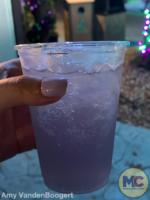 iron gwazi fizz busch gardens tampa food and wine festival 2022