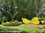 Busch Gardens Tampa Buttery Topiary