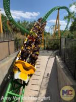 Cheetah Hunt Busch Gardens Tampa 2