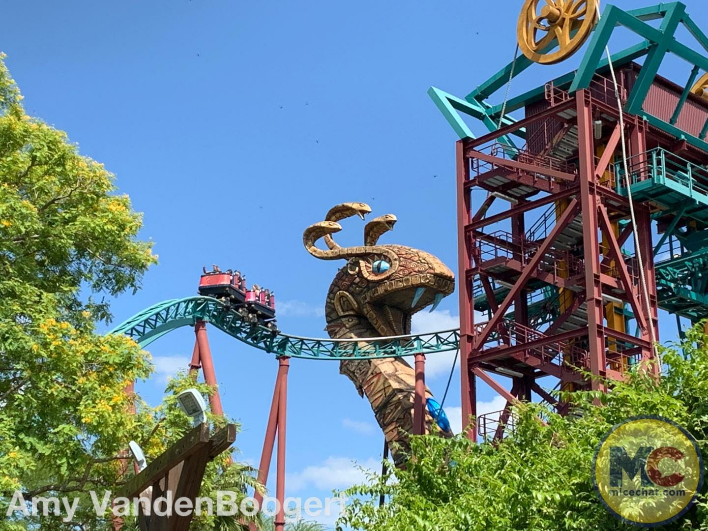 Busch Gardens Tampa, Busch Gardens Tampa Gears Up for a Wild Summer
