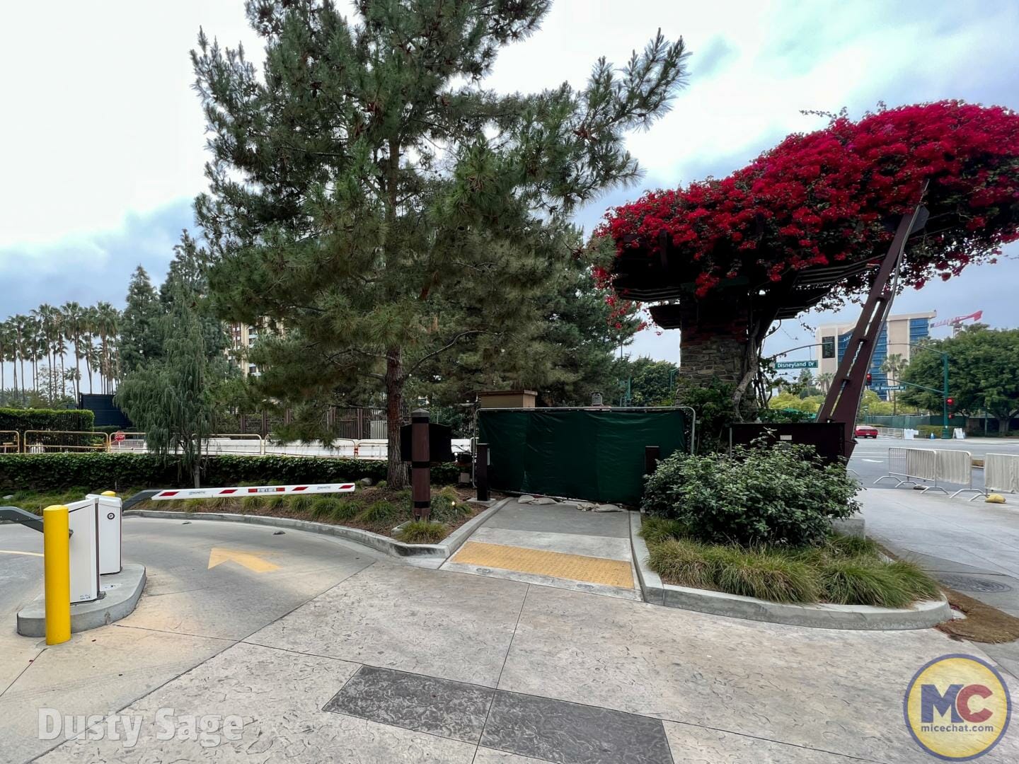 Disneyland, Disneyland Update: From Hugs to Hyperspace & Secrets Revealed!