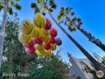 Disney California Adventure balloons-micechat