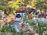 Disney California Adventure heat grizzly drop-micechat