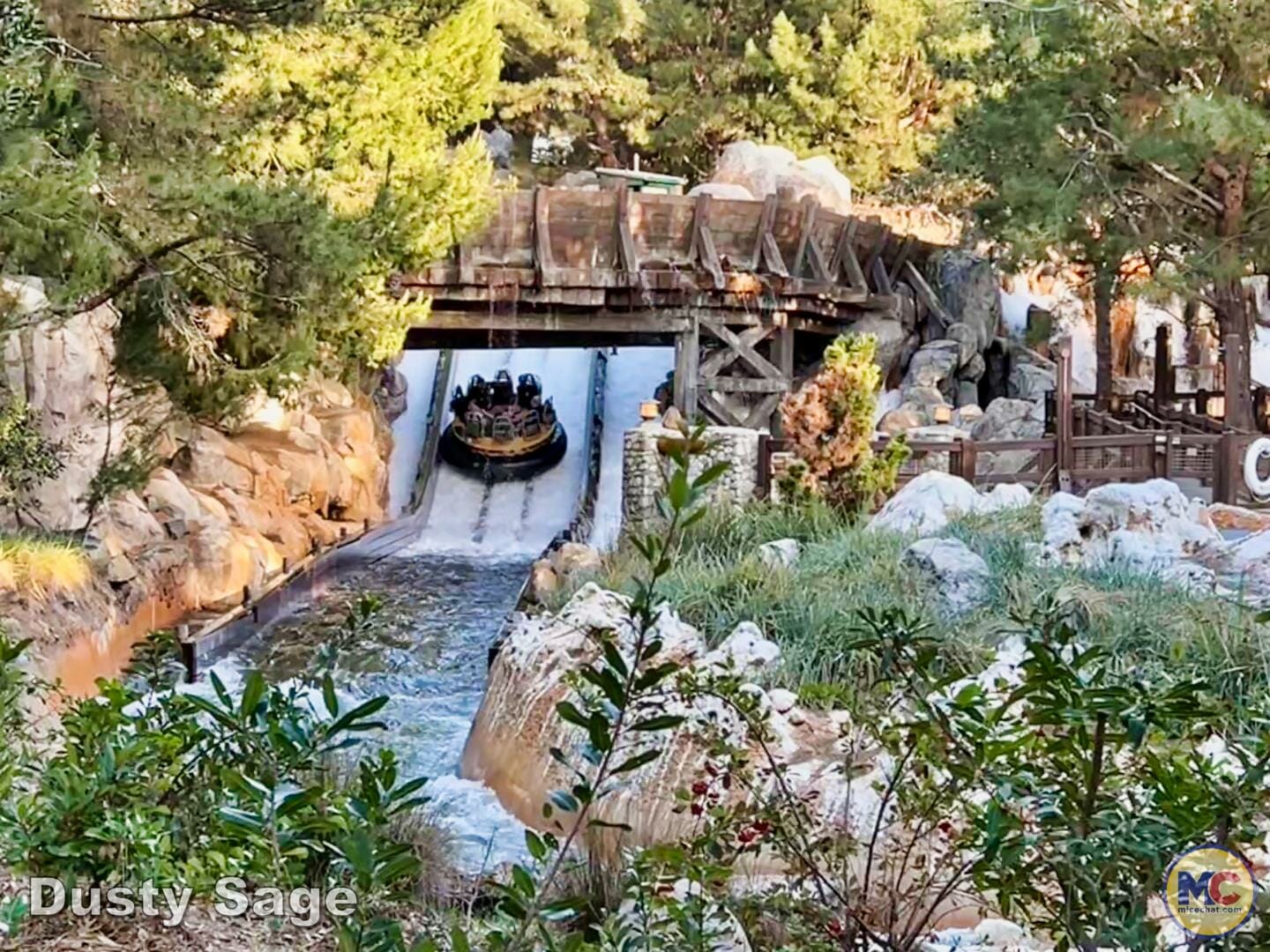 , Disneyland Update – Let’s Talk About Bruno… And Everything Else