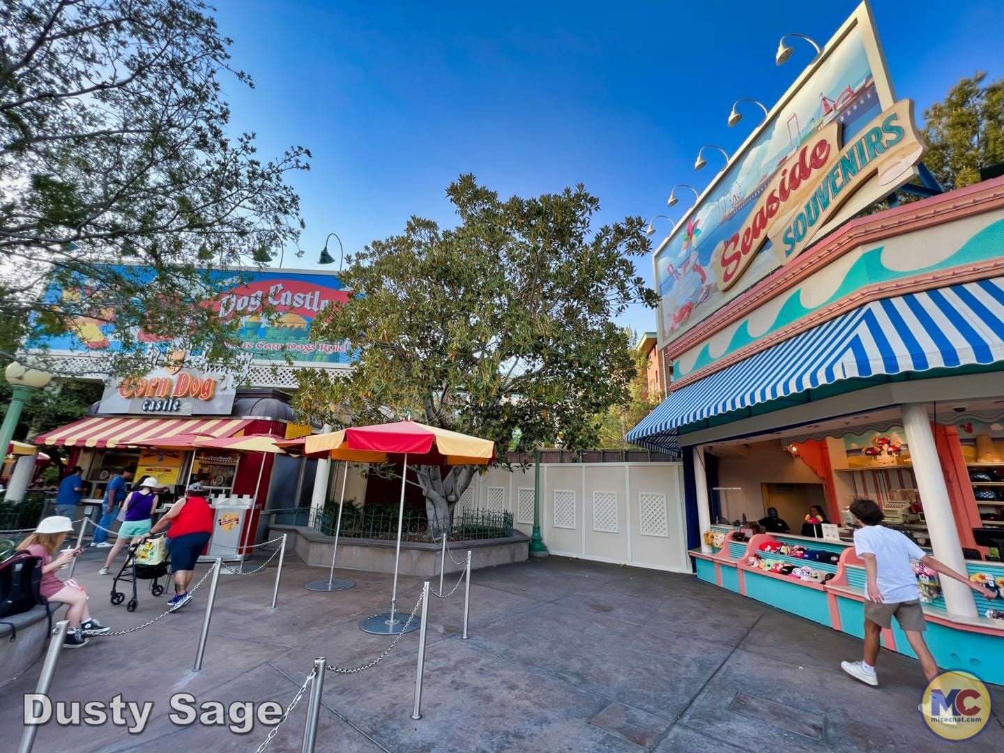 , Disneyland Update – Let’s Talk About Bruno… And Everything Else