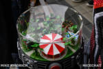 Disney California Adventure_Avengers Campus_Character Meet and Greet_Ant Man_Mini Bugs Land (1 of 1)