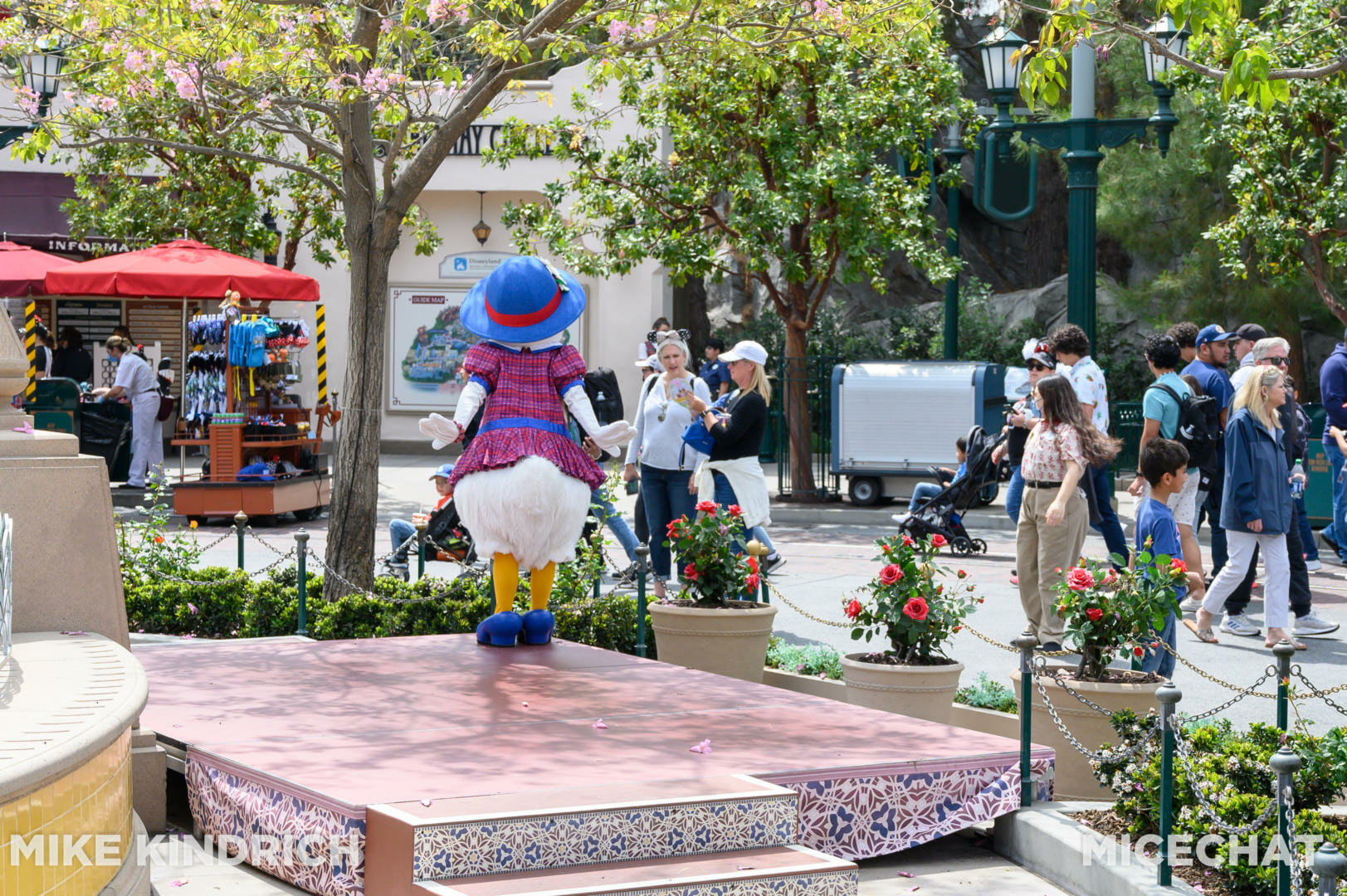 Disneyland, Disneyland Update: From Hugs to Hyperspace & Secrets Revealed!