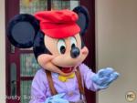 Disneyland Characters Mickey-micechat
