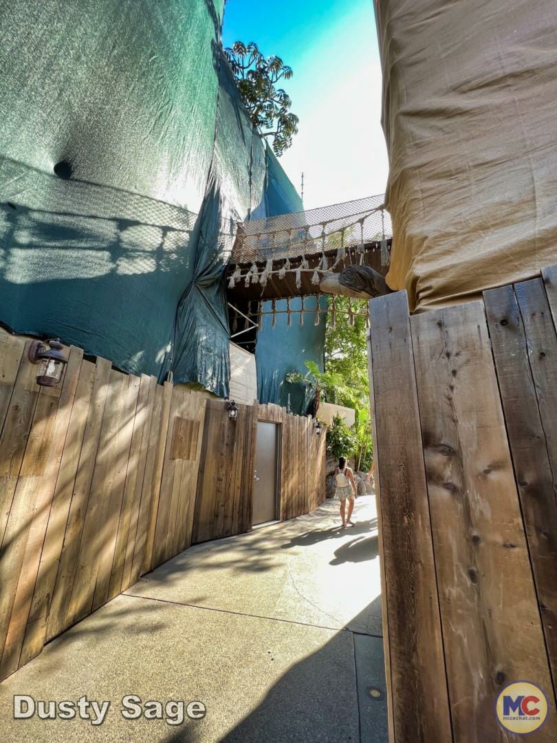 , Disneyland Update – Let’s Talk About Bruno… And Everything Else
