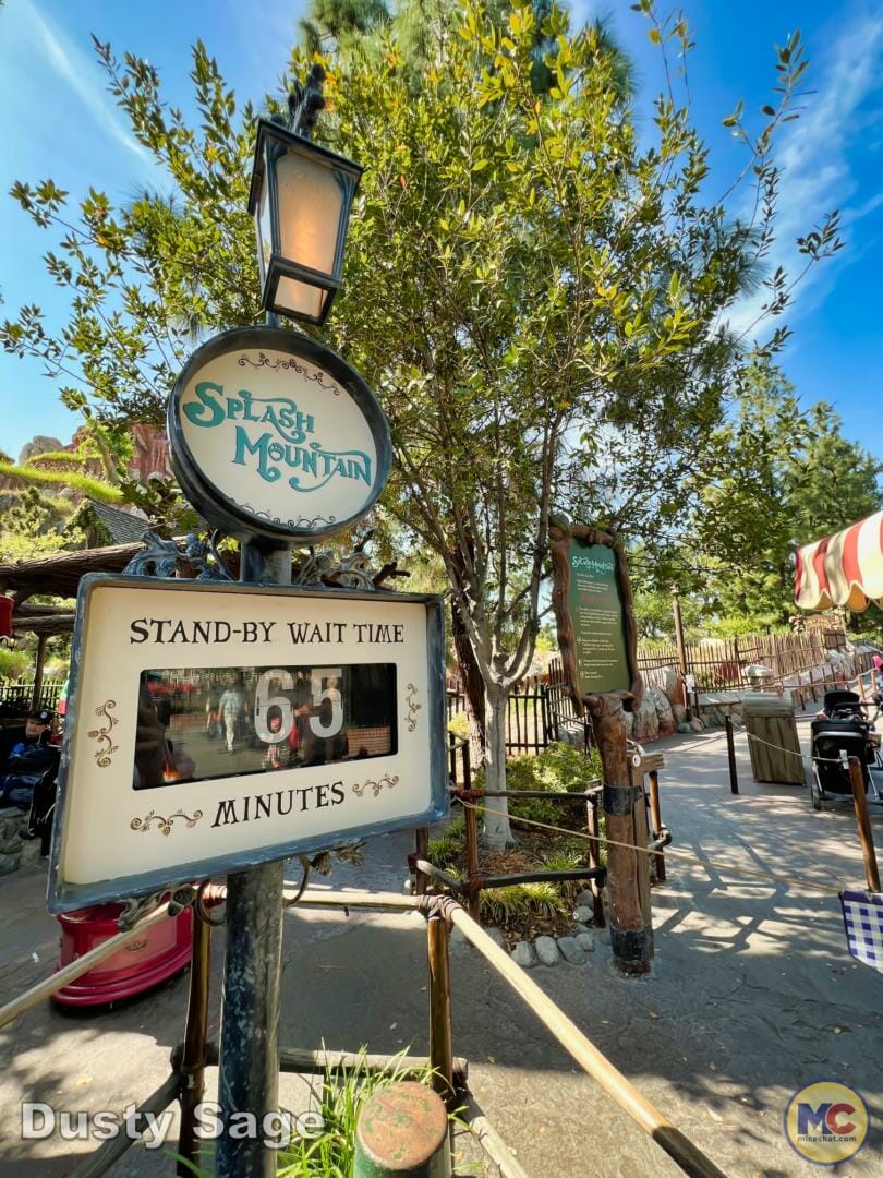 , Disneyland Update – Let’s Talk About Bruno… And Everything Else