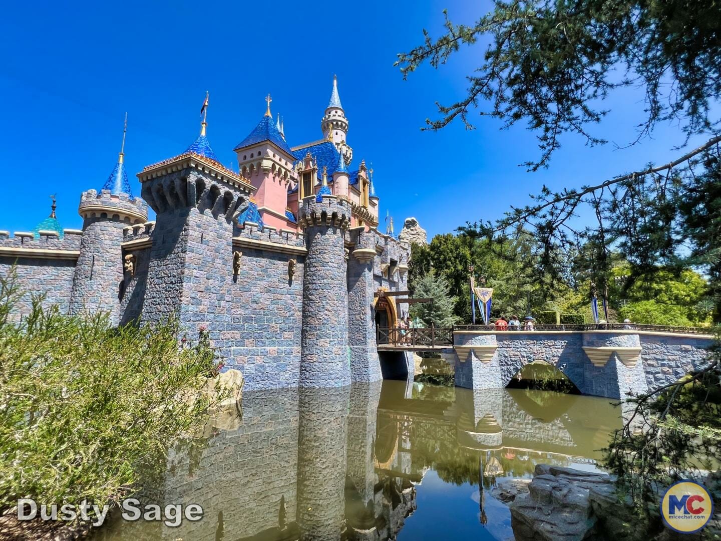 , Disneyland Update – Let’s Talk About Bruno… And Everything Else
