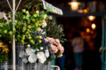 Disneyland Main Street USA flower market detail DSC_1376-X5