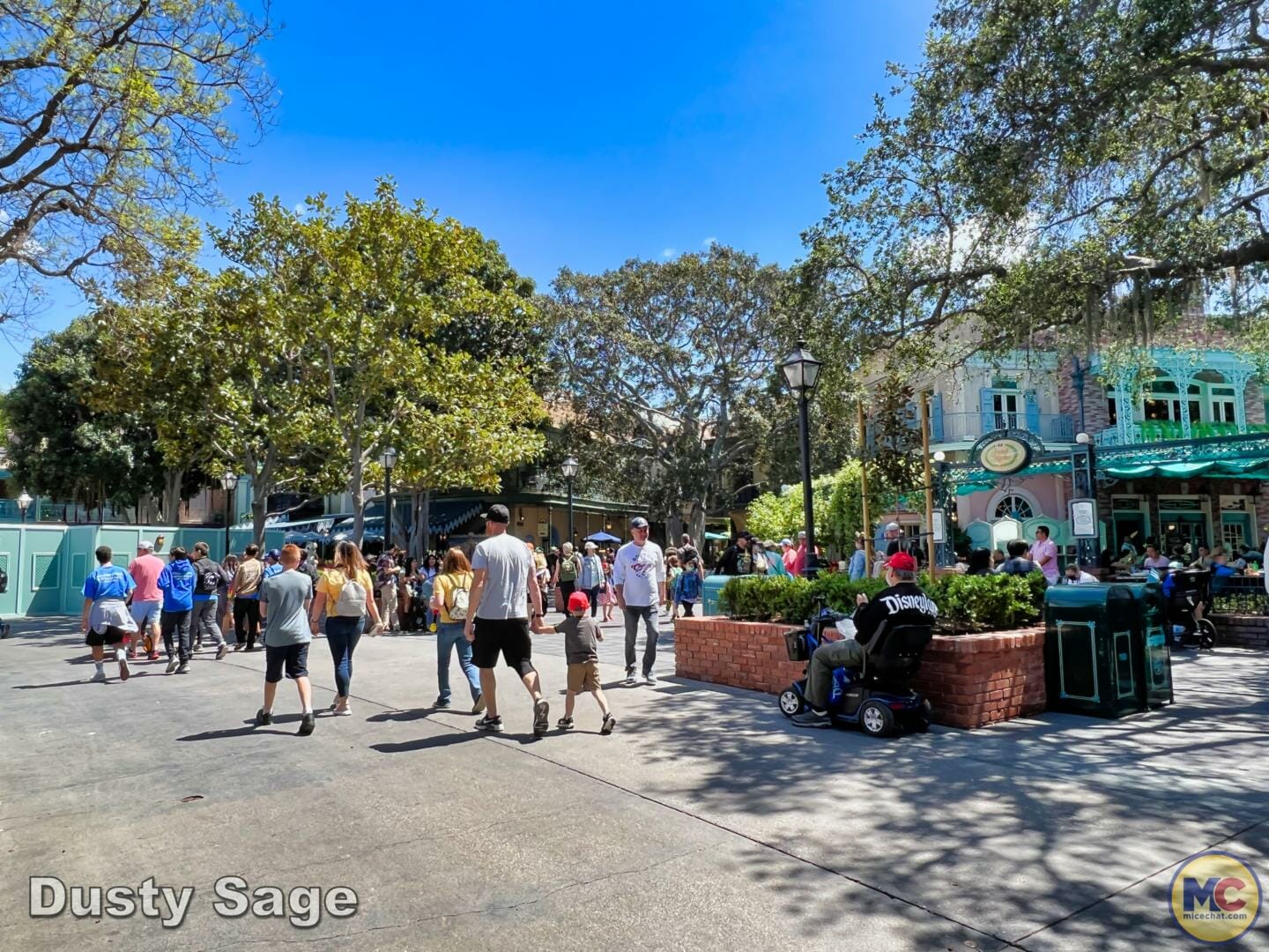 , Disneyland Update – More Entertainment, More Construction, More Reservations