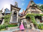 Disneyland Sleeping Beauty and Maleficent Fantasy Faire Village