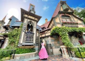 Disneyland Update – Let’s Talk About Bruno… And Everything Else