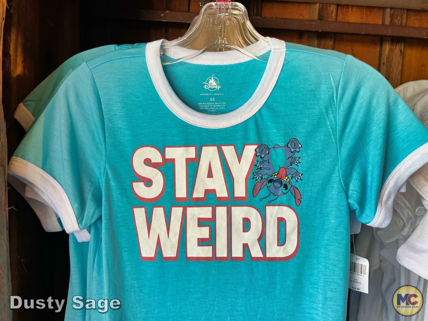 , Disneyland Update – Let’s Talk About Bruno… And Everything Else