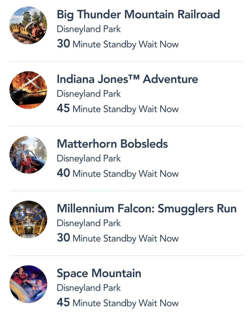 , Disneyland Update – Let’s Talk About Bruno… And Everything Else