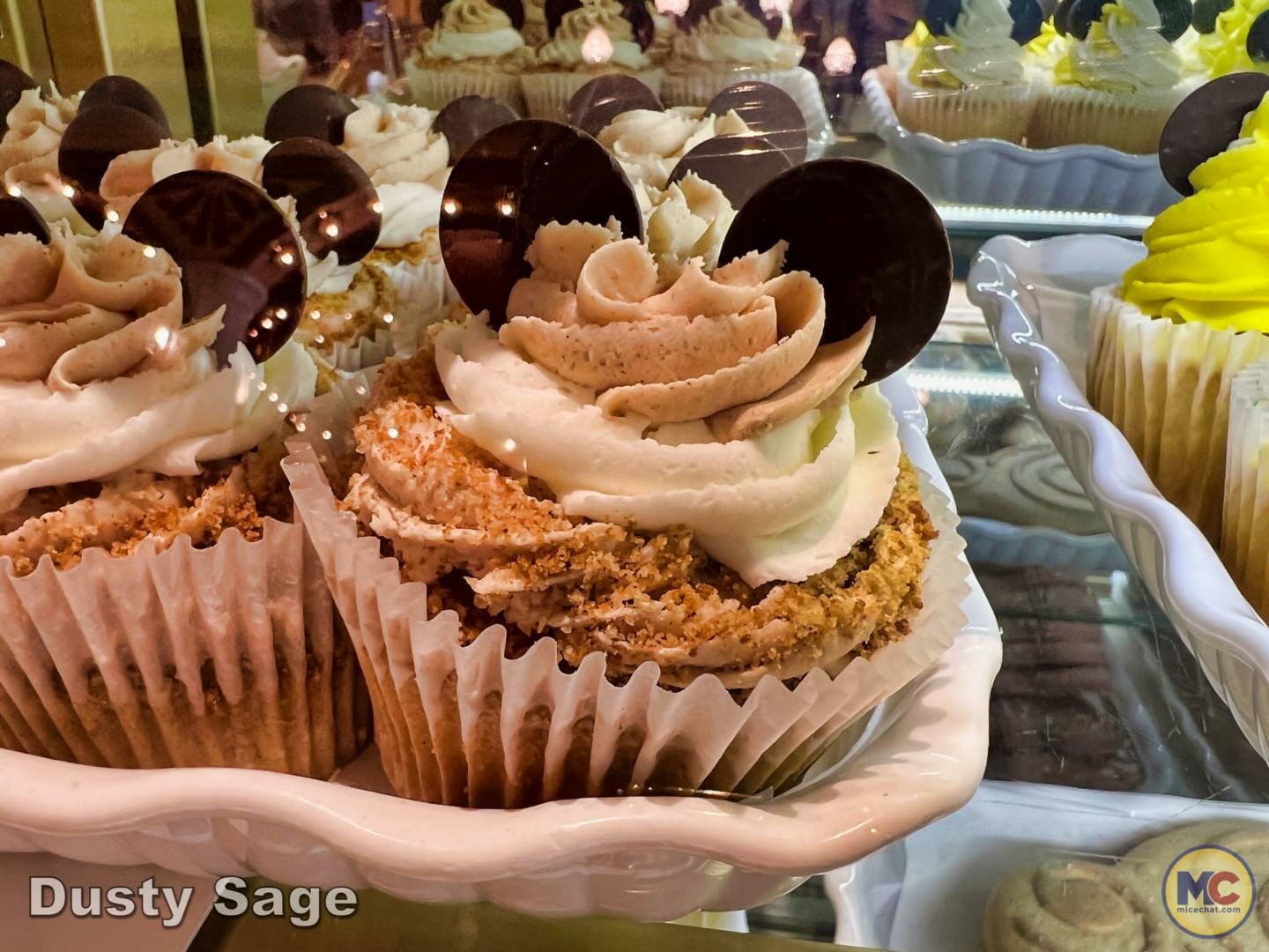 , Disneyland Update – Let’s Talk About Bruno… And Everything Else