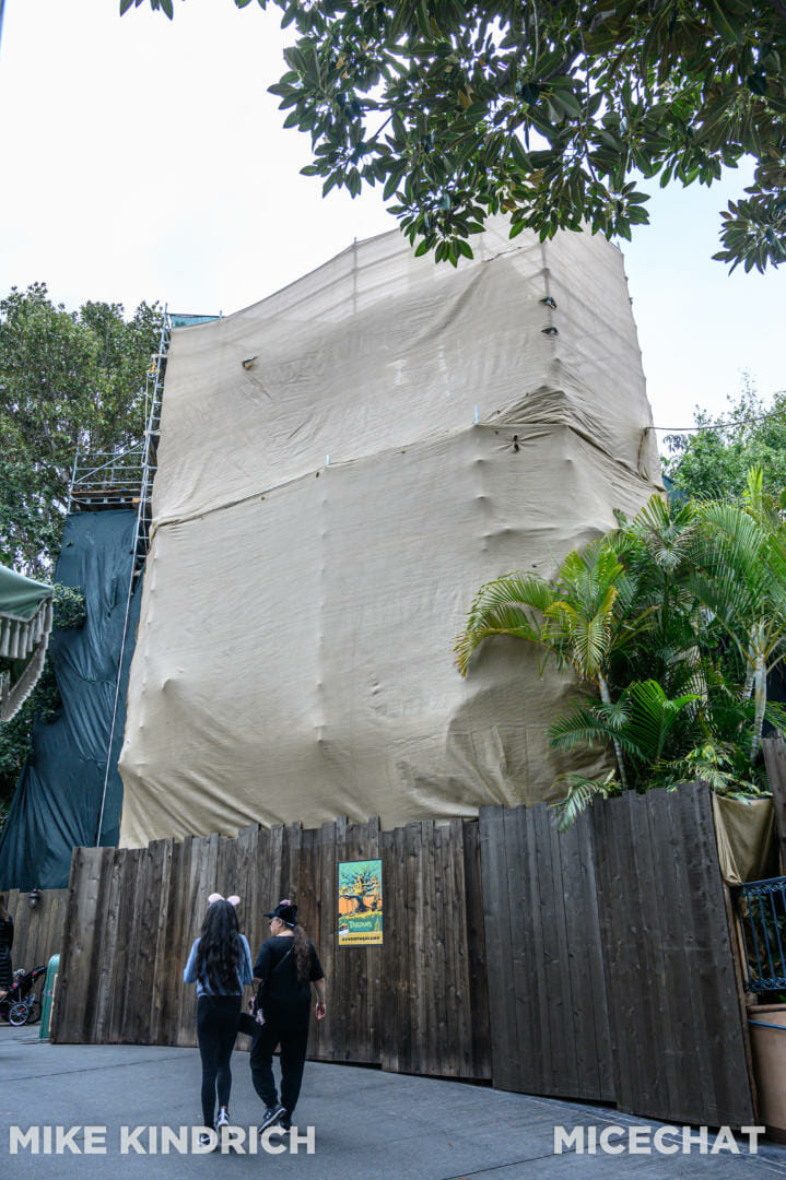 Disneyland, Disneyland Update: From Hugs to Hyperspace & Secrets Revealed!