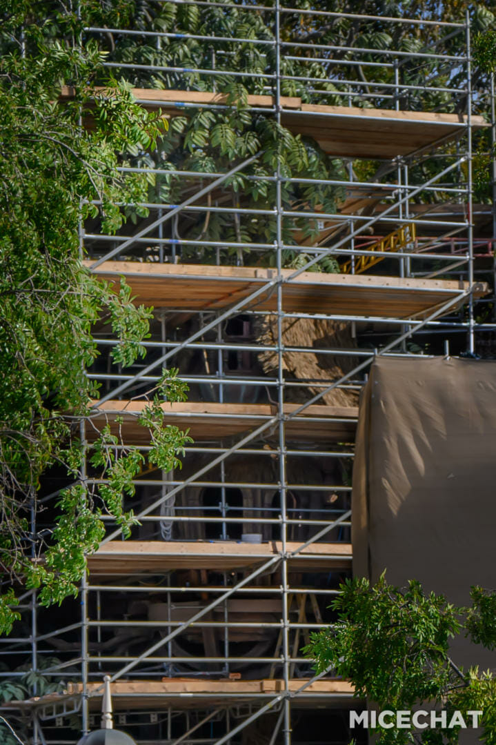, Disneyland Update – Electric Entertainment, Magic Key Blues & Rumors Too