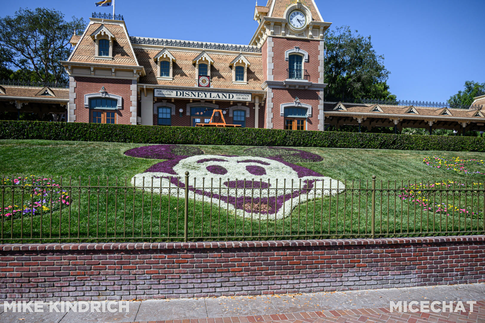, Disneyland Update – Let’s Talk About Bruno… And Everything Else