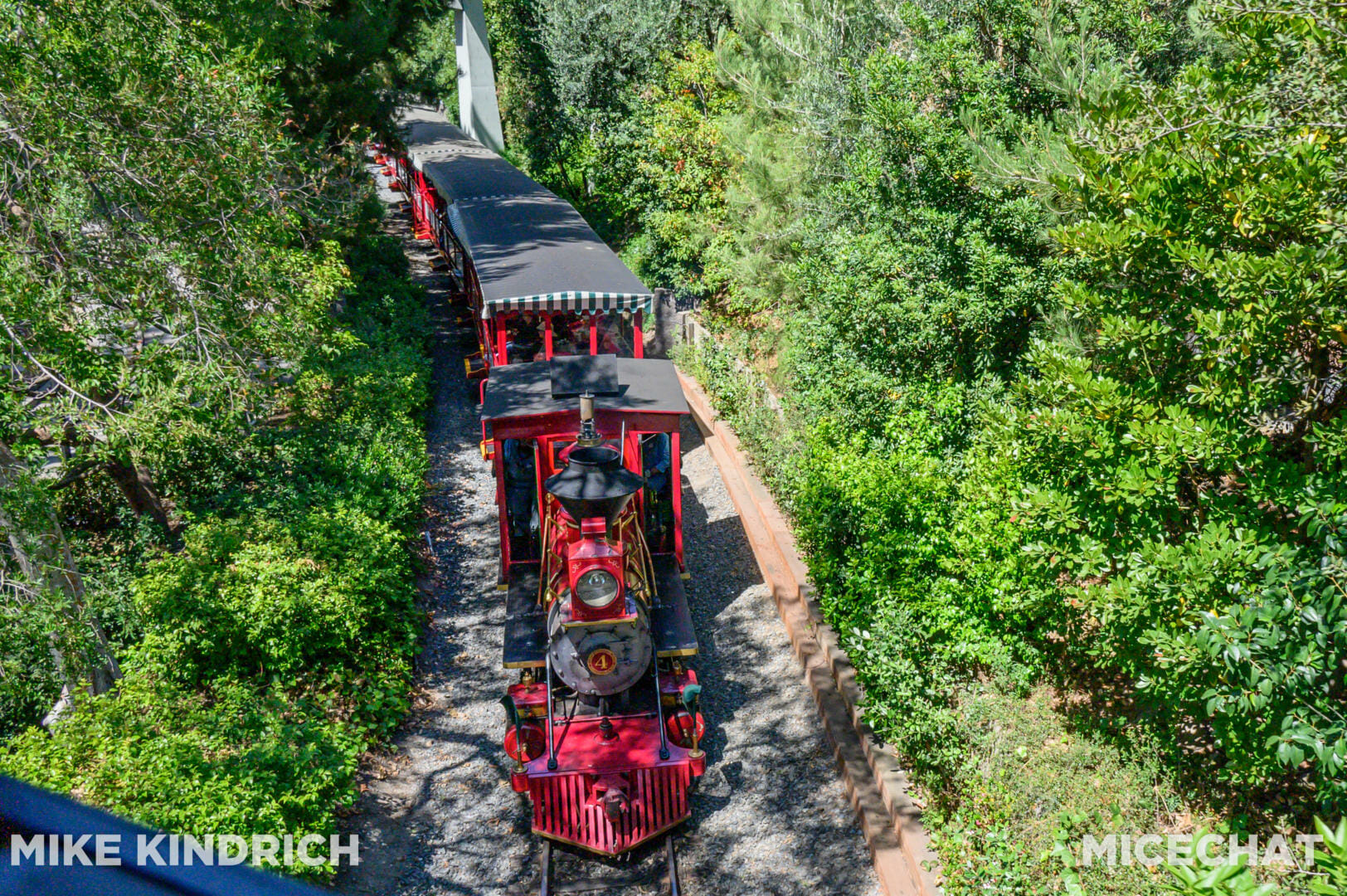 , Disneyland Update – Electric Entertainment, Magic Key Blues & Rumors Too