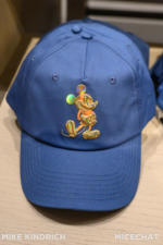 Downtown Disney_World of Disney-earidescent-shimmer-collection-hat