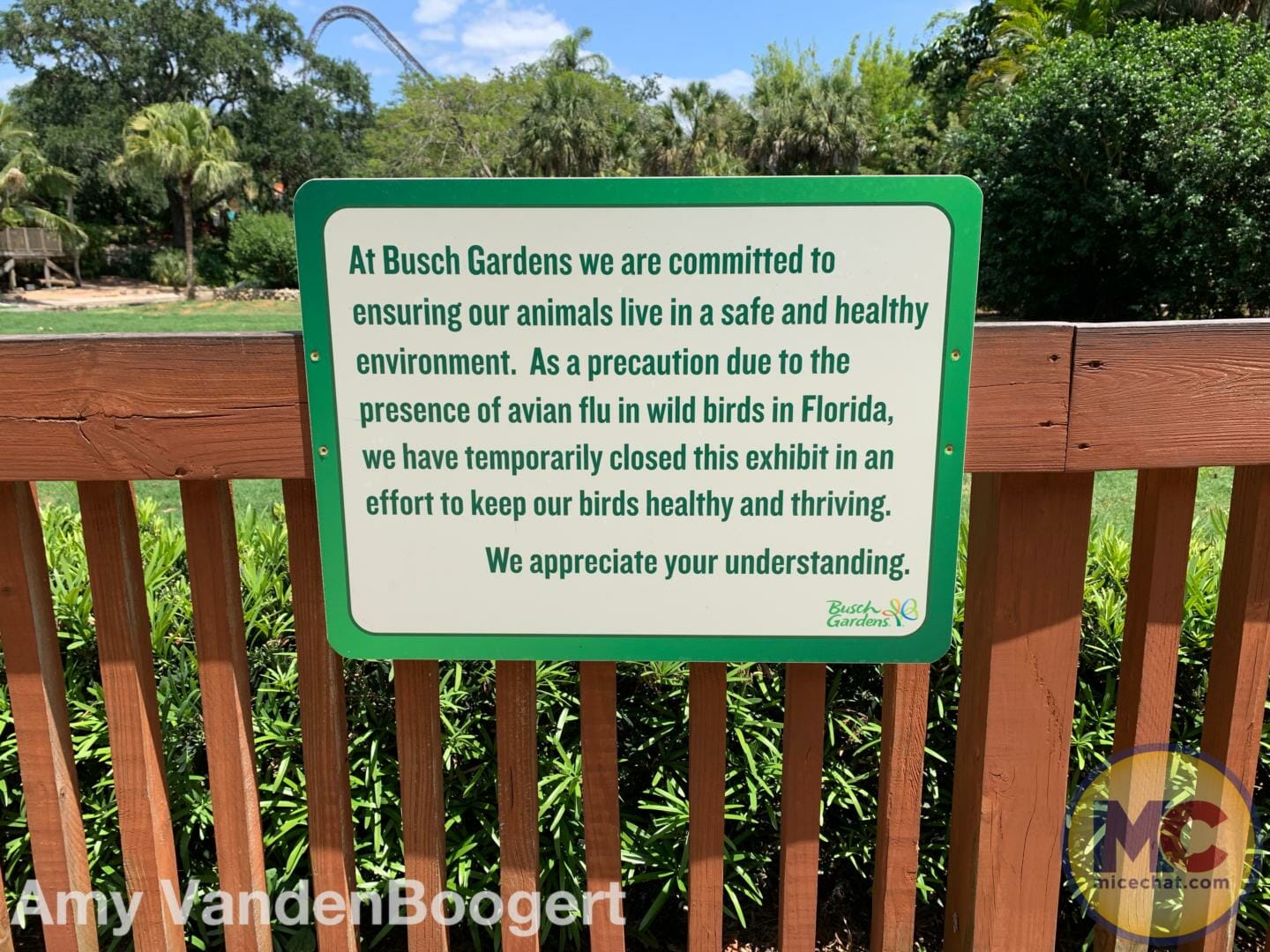 Busch Gardens Tampa, Busch Gardens Tampa Gears Up for a Wild Summer
