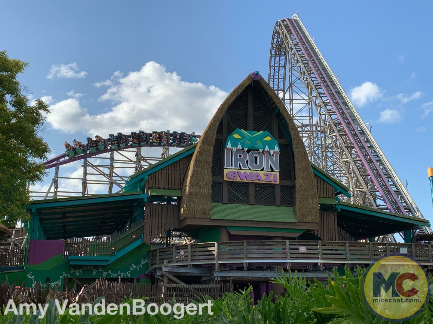 Busch Gardens Tampa, Busch Gardens Tampa Gears Up for a Wild Summer