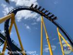 Montu Busch Gardens Tampa