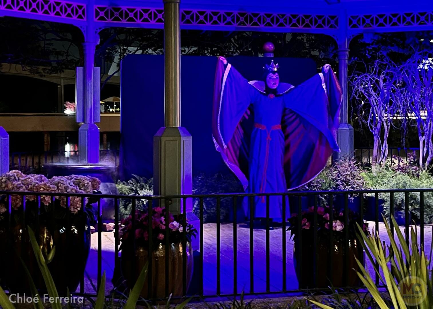 Disney World, Walt Disney World Update – Lightning Lame & Very Nearly Normal
