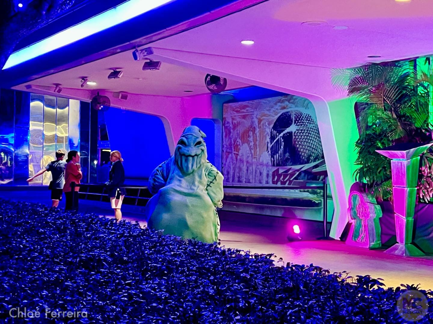Disney World, Walt Disney World Update – Lightning Lame & Very Nearly Normal