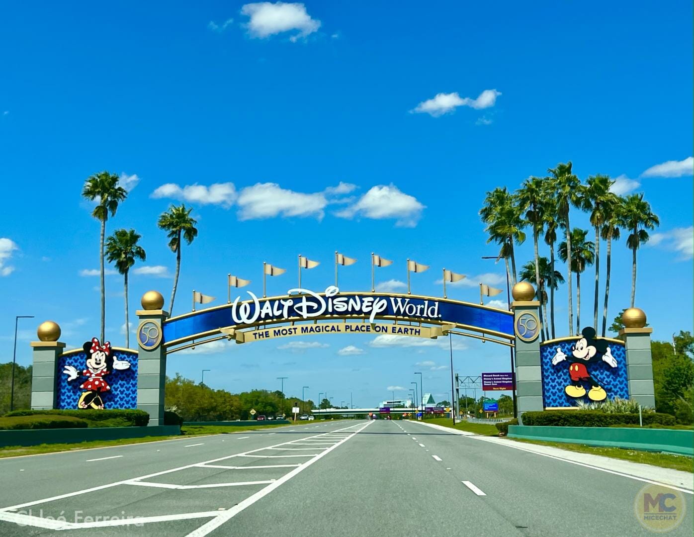 , NEW: Changes to Walt Disney World Park Reservation System