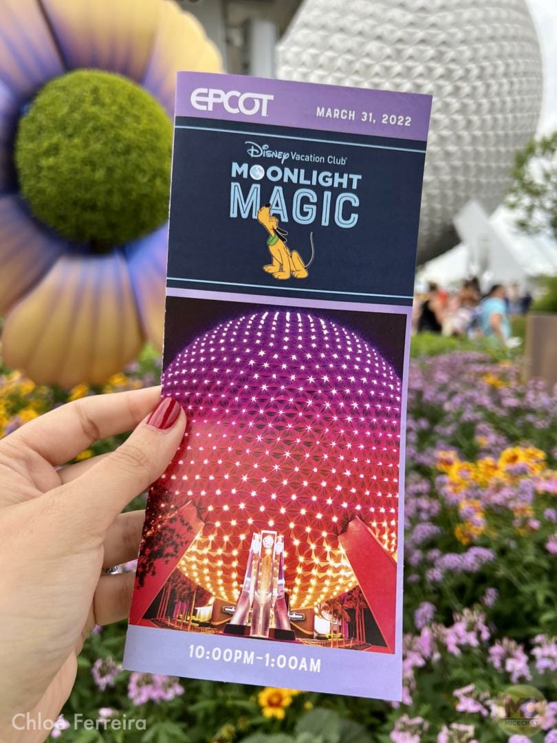Disney World, Walt Disney World Update – Lightning Lame & Very Nearly Normal