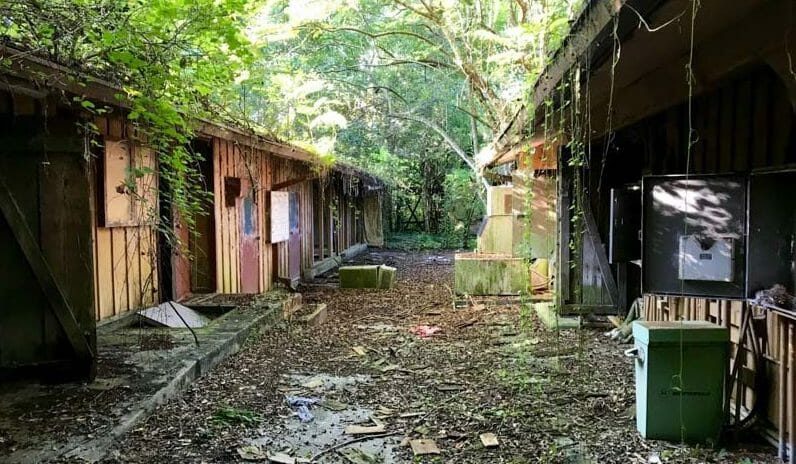 , The Mystery of Walt Disney World’s Bermuda Triangle