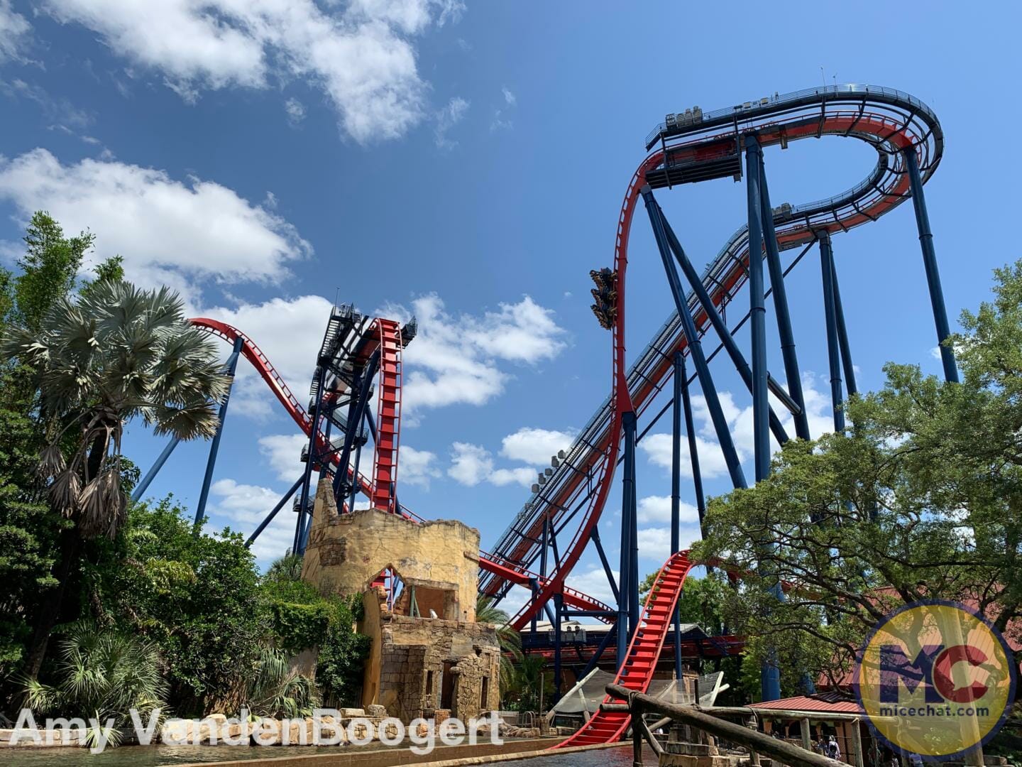 Busch Gardens Tampa, Busch Gardens Tampa Gears Up for a Wild Summer