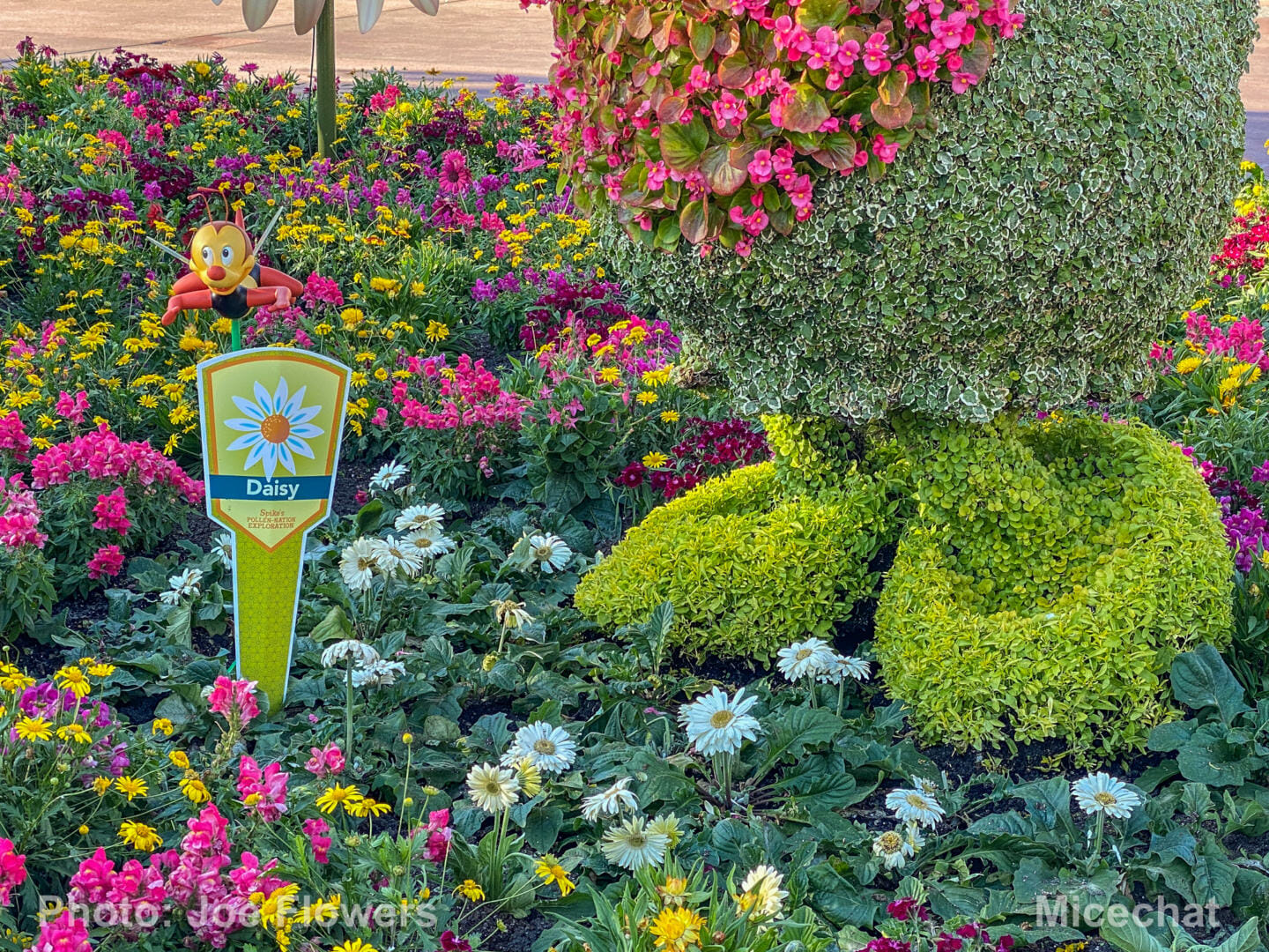 Spike's Pollen-Nation Exploration, Spike&#8217;s Pollen-Nation Exploration at Epcot&#8217;s Flower &#038; Garden Festival