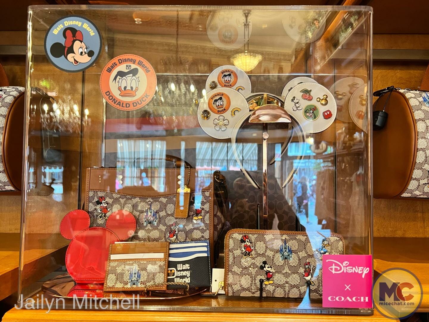 , Disneyland Merchandise Update: All That Shimmers