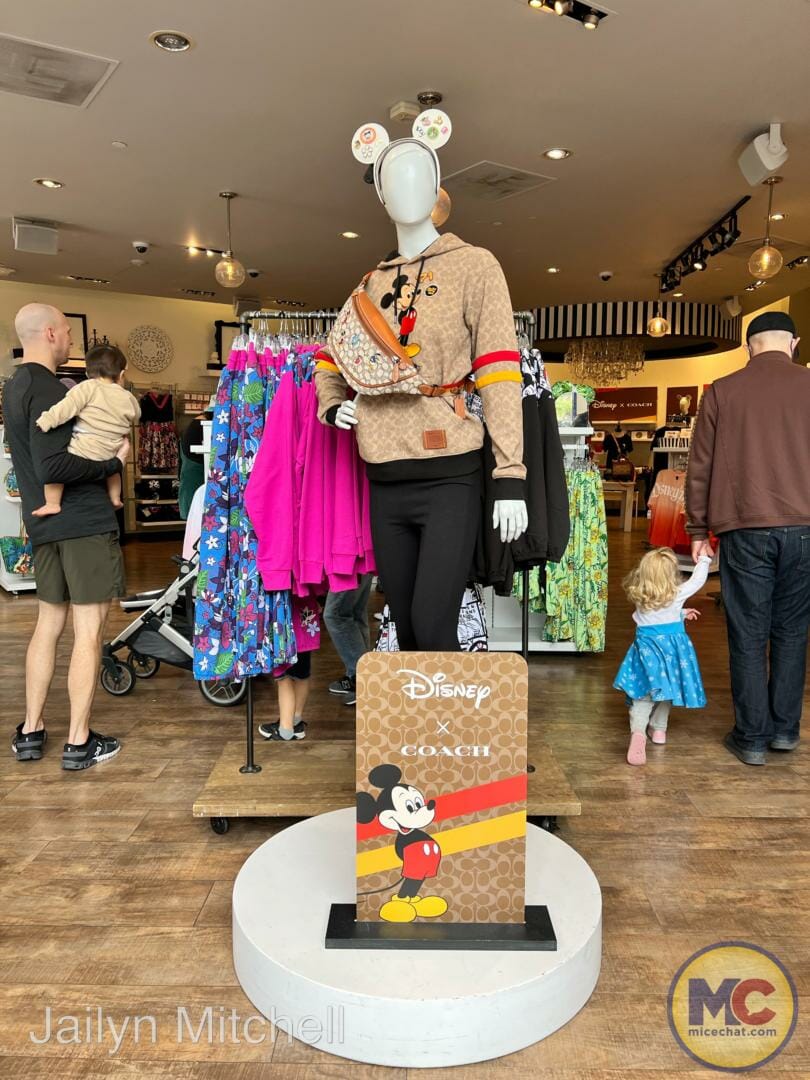 , Disneyland Merchandise Update: All That Shimmers