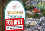 tarzantreehouse-dartelinedisneyland copy