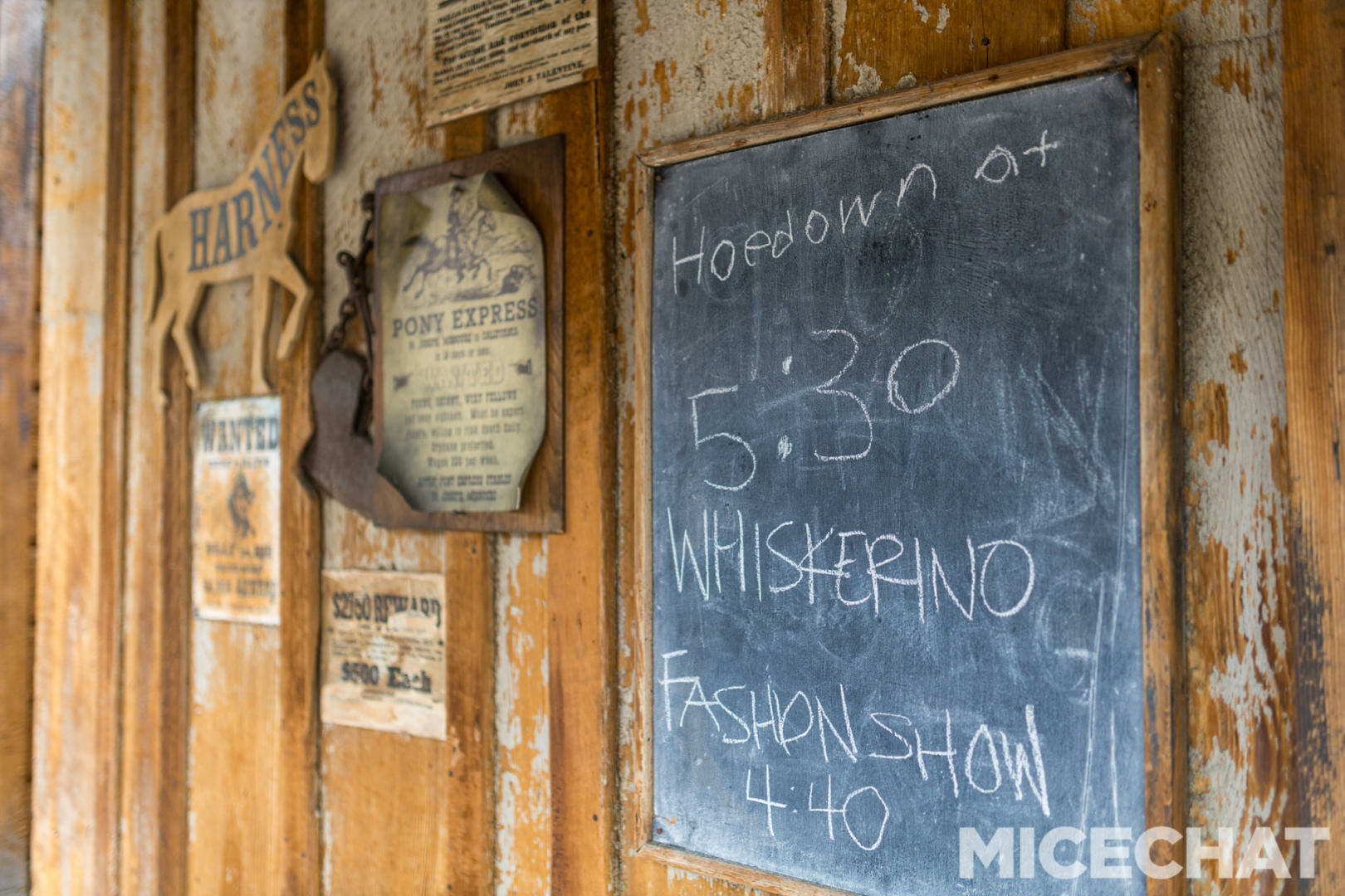 Ghost Town Alive, Knott’s Ghost Town Alive & Summer Nights Kicks Off a Season of Fun!