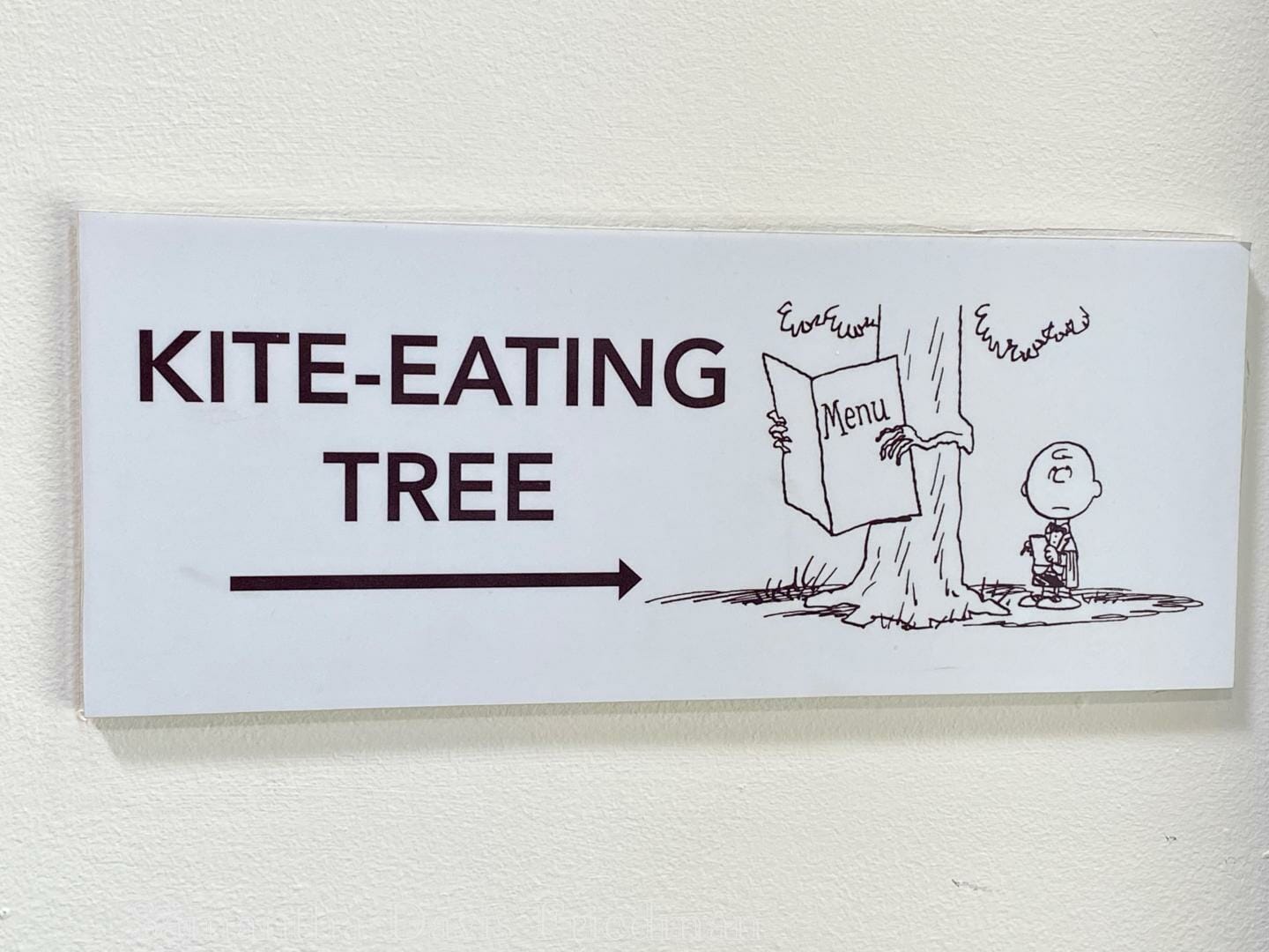 Charles M. Schulz Museum - Kite-Eating Tree