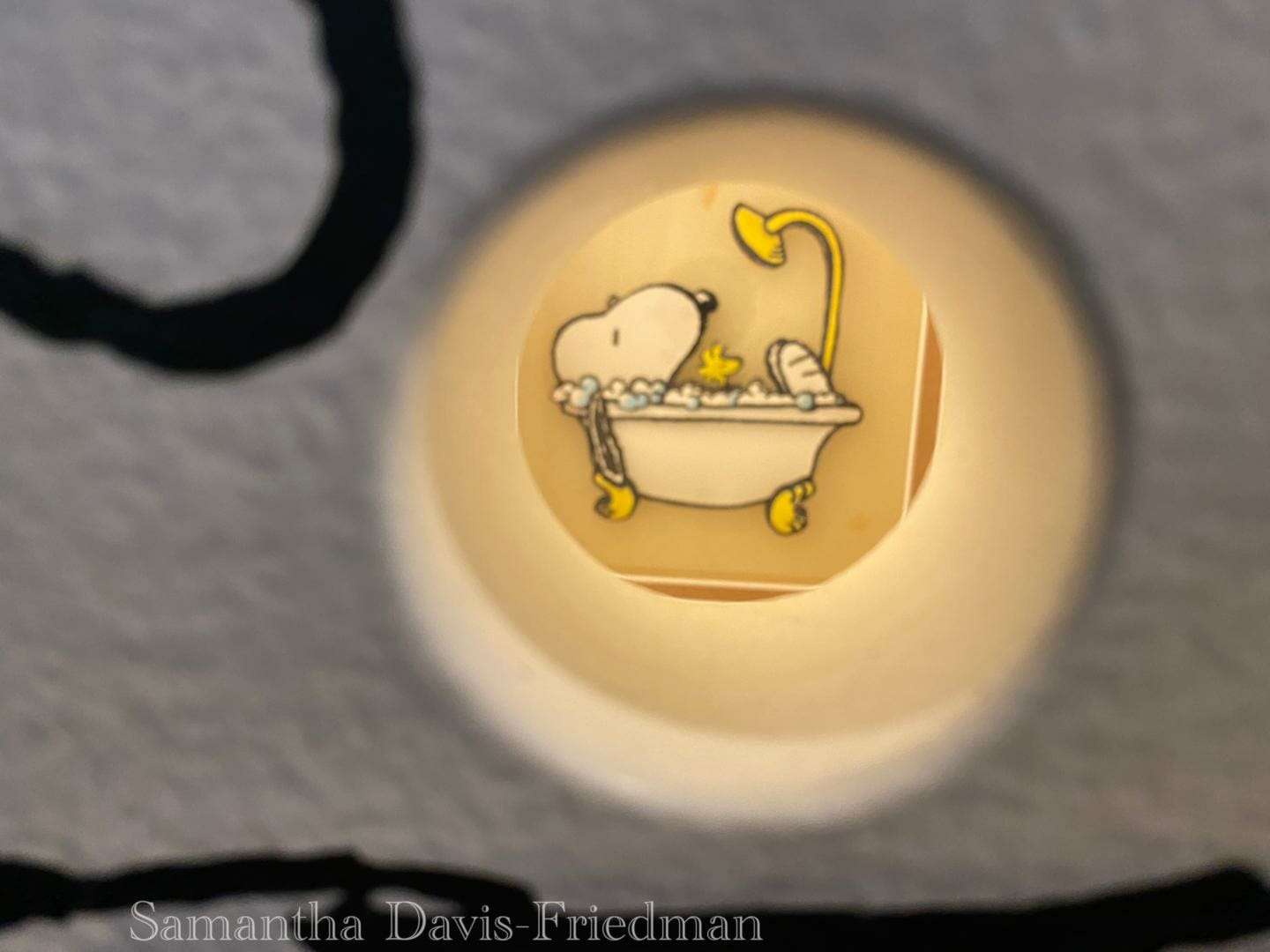 Charles M. Schulz Museum - Peek-A-Boo Box Snoopy