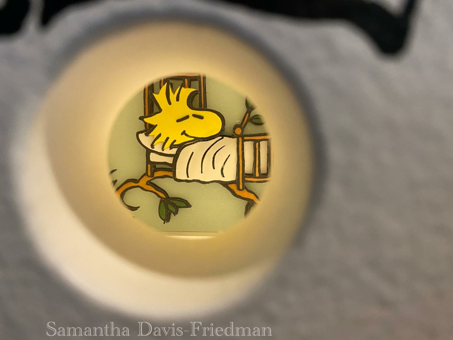 Charles M. Schulz Museum - Peek-A-Boo Box Woodstock