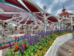 DCA Lamplight Lounge upper patio closed 1-micechat