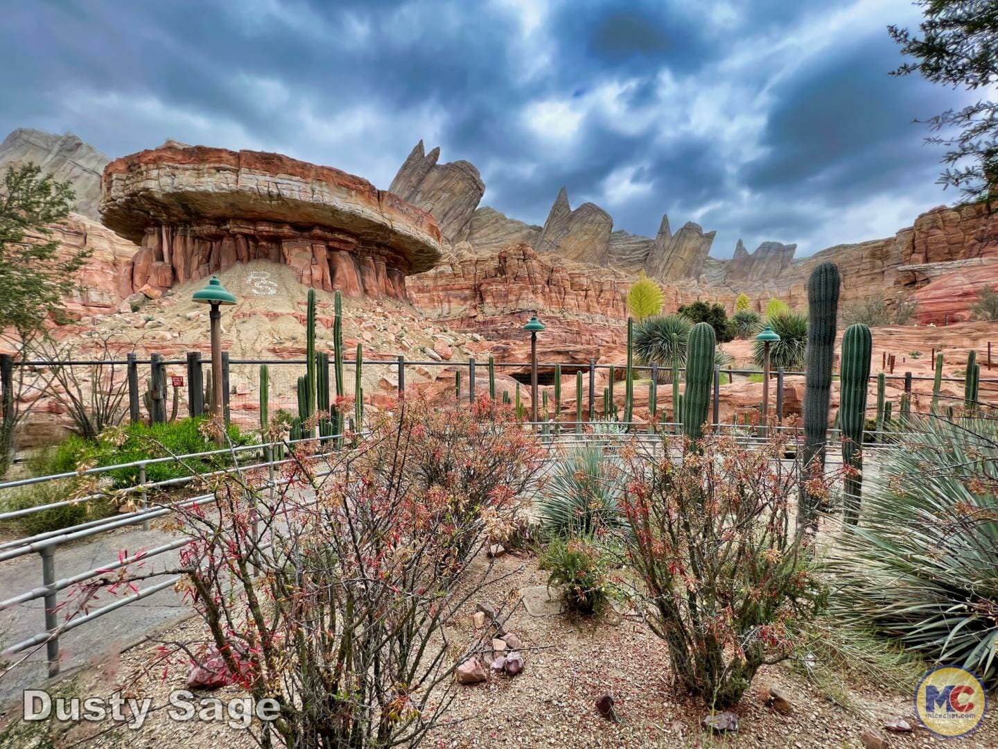 , Disneyland Update: New Views, Booking Up & Locking Out