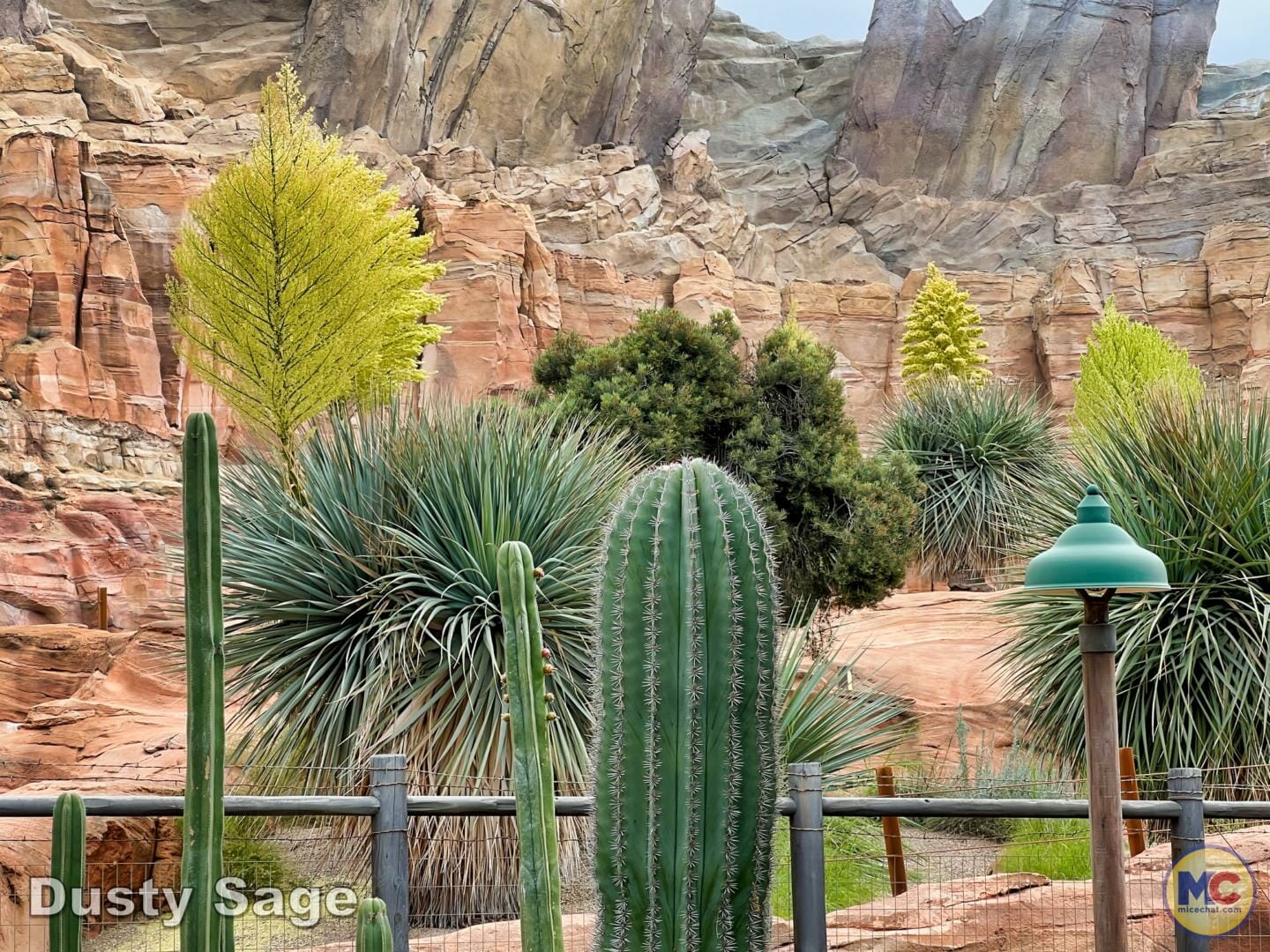 , Disneyland Update – Imagination Resurfacing, Racers Down, New to Batuu
